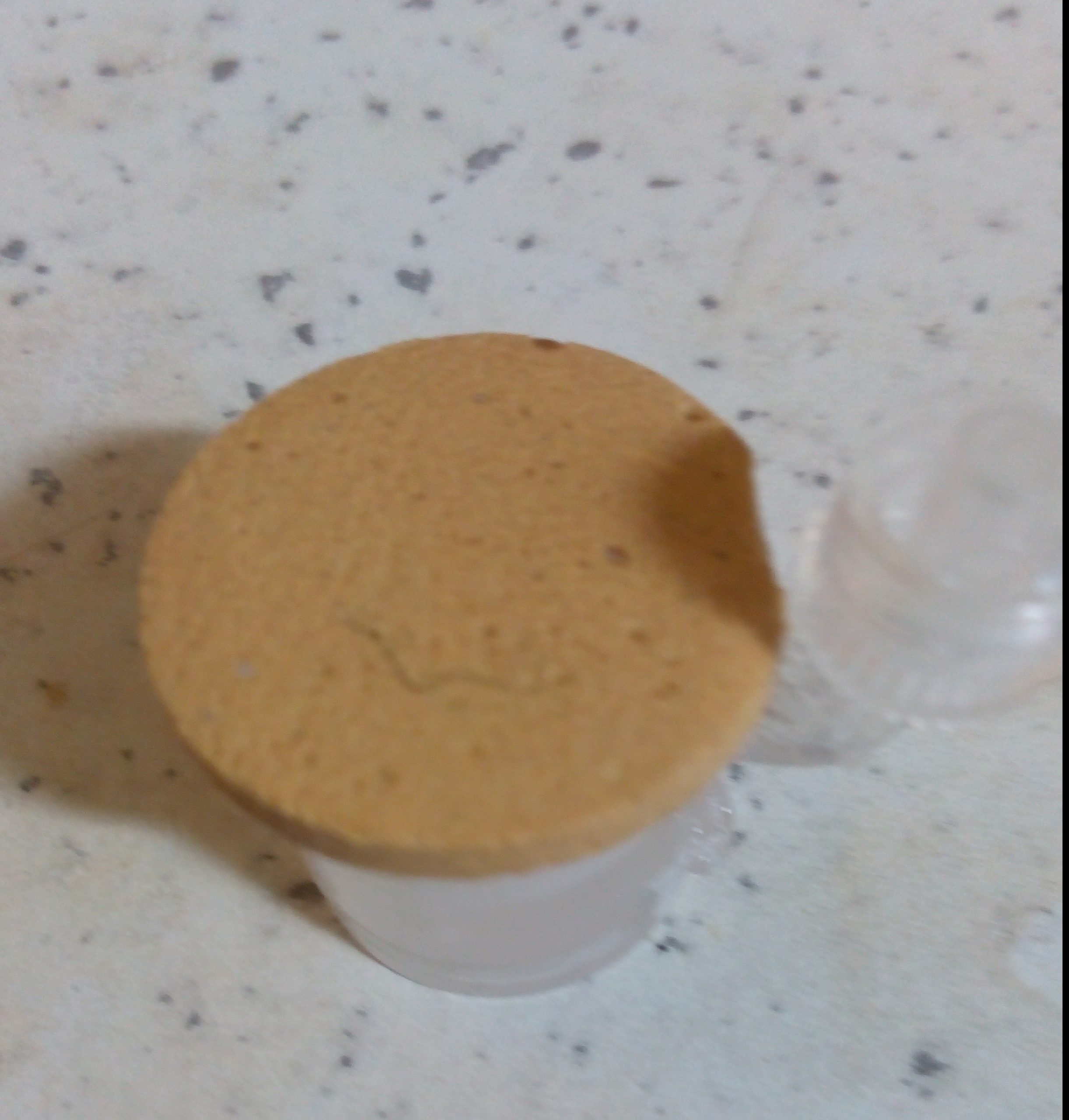 پودر کننده گاز کربن (دیفیوزر) میکرون