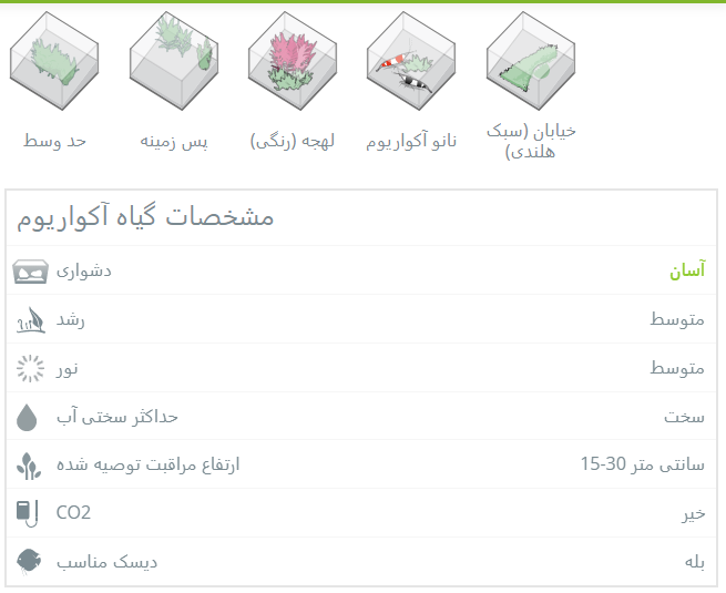 گیاه آبزی آکواریوم پلنت باکوپا کارولینا Bacopa Caroliniana(پک 4 شاخه)