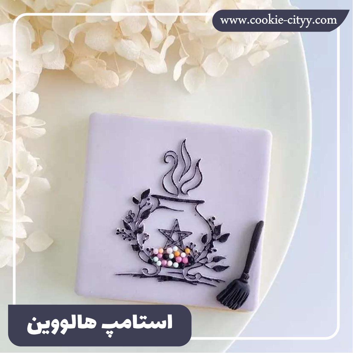 استامپ دیگ جادوگر