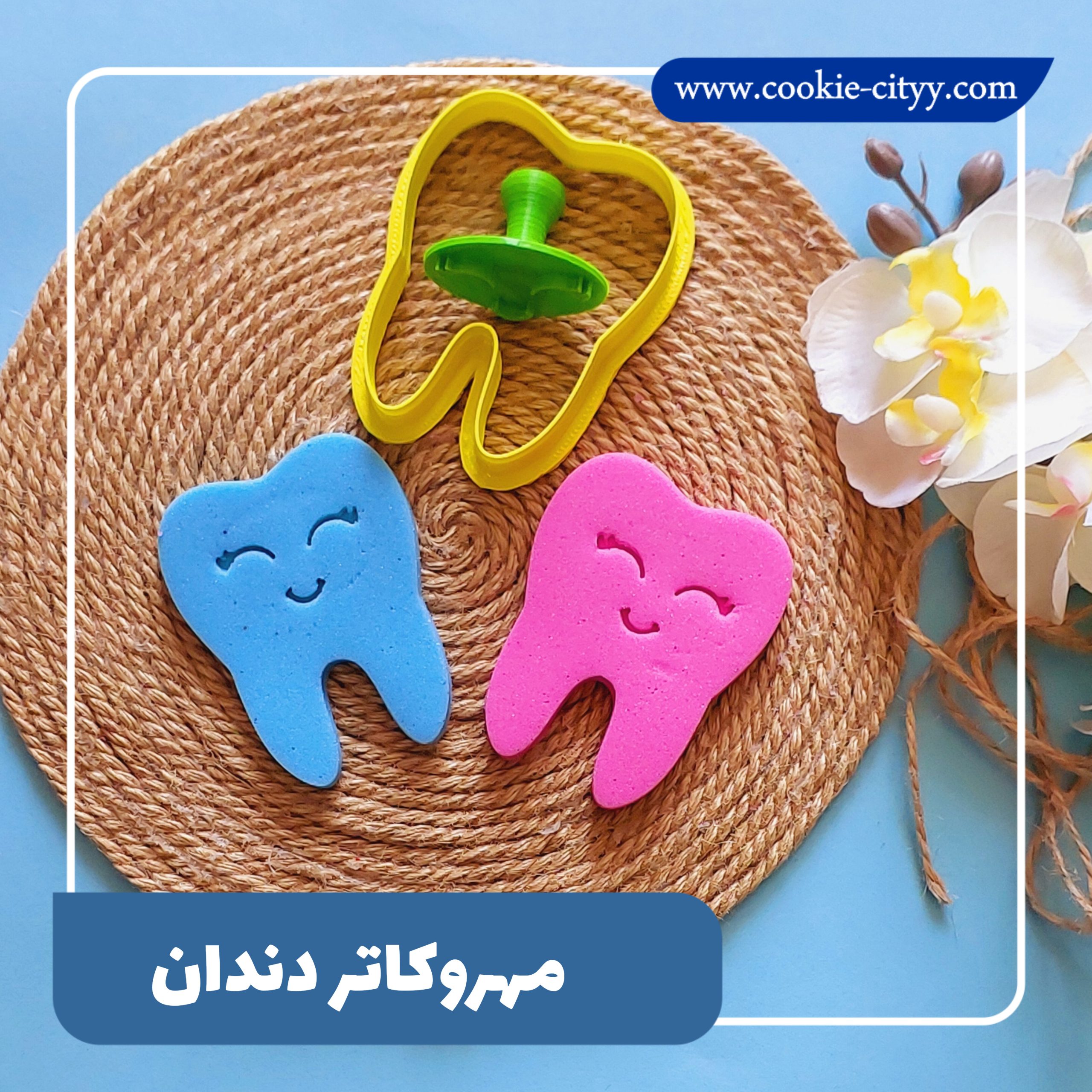 مهروکاتر دندان
