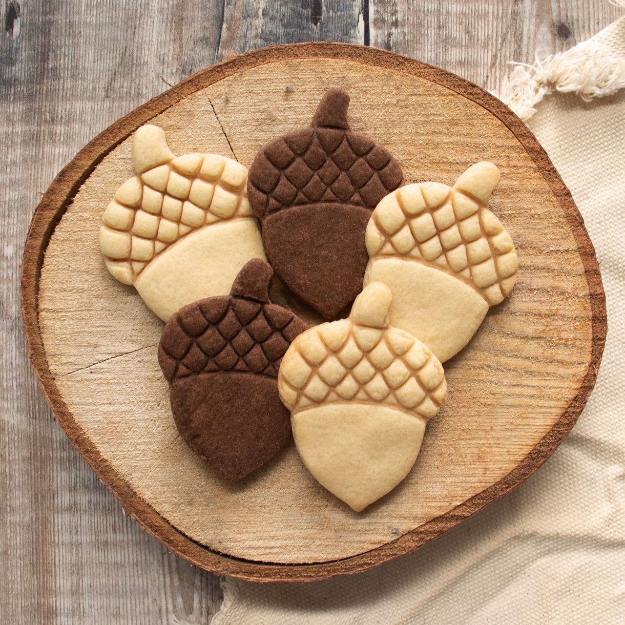 مهروکاتربلوط