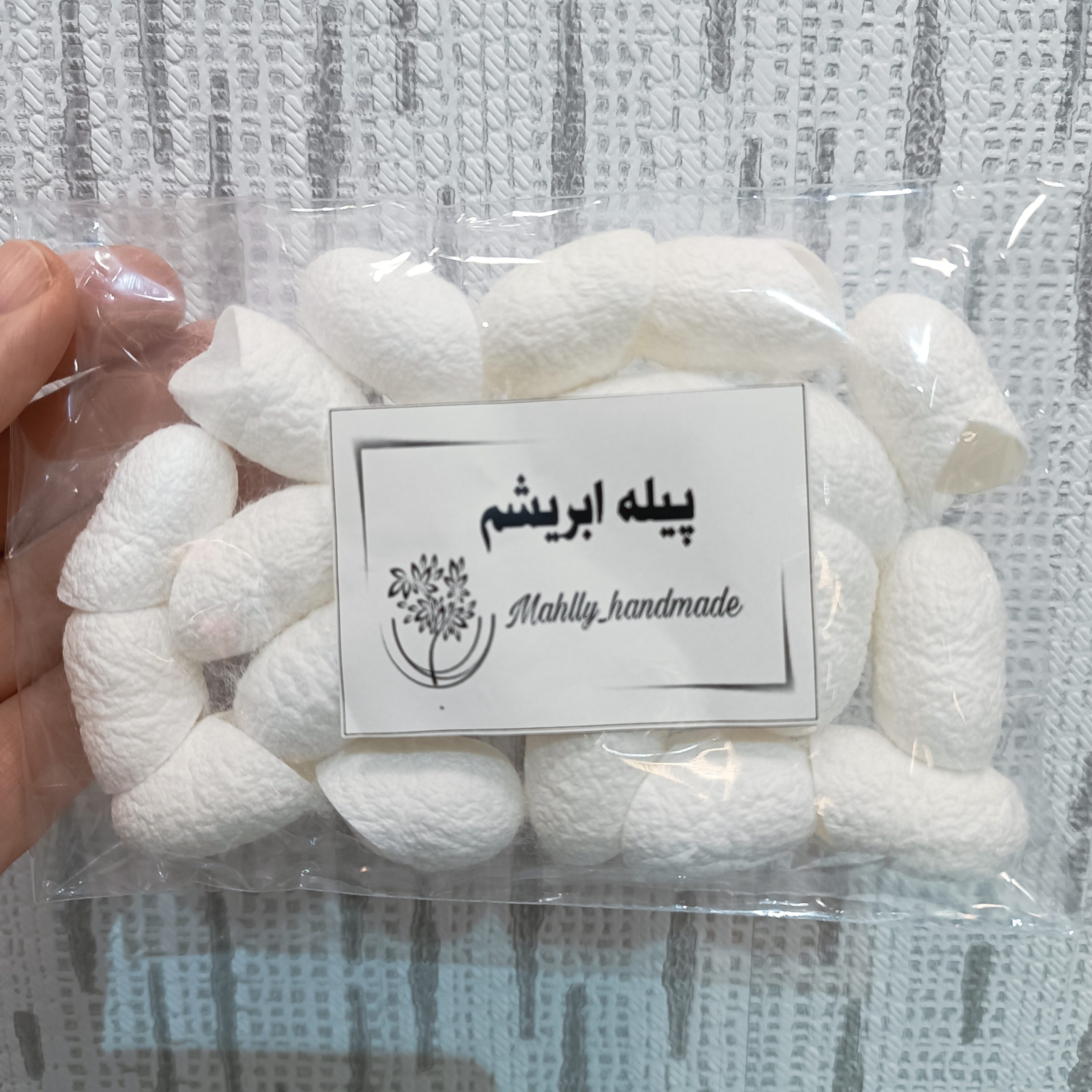 پیله ابریشم