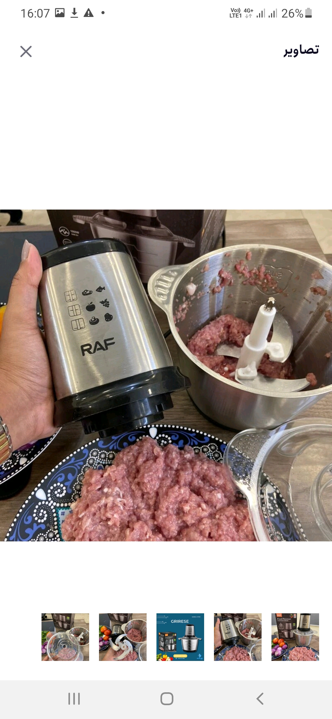 خردکن ۳ لیتری راف مدل 7031