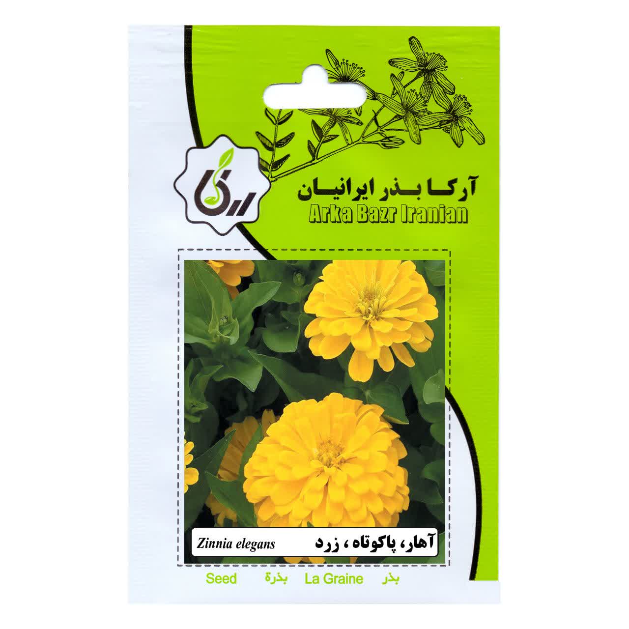 بذر اهار پاکوتاه و زرد