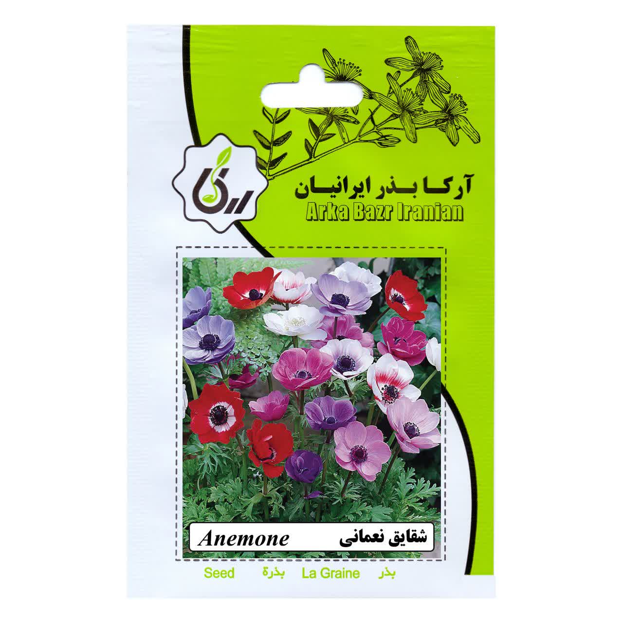 بذر گل شقایق نعمانی
