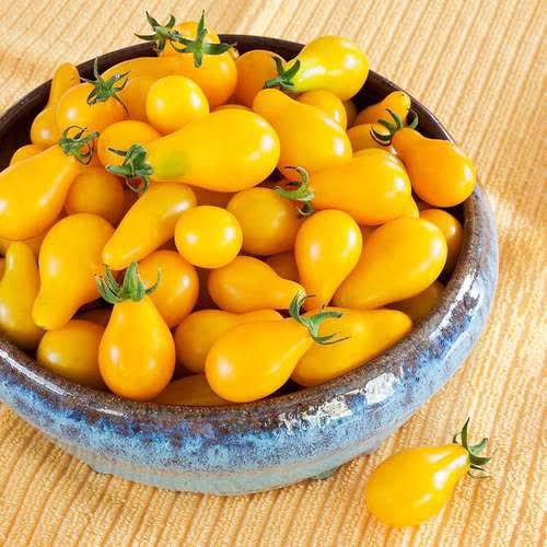 بذر گوجه گلابی زرد
