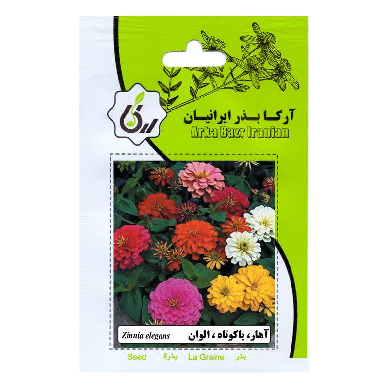 بذر  گل آهار پاکوتاه ،الوان