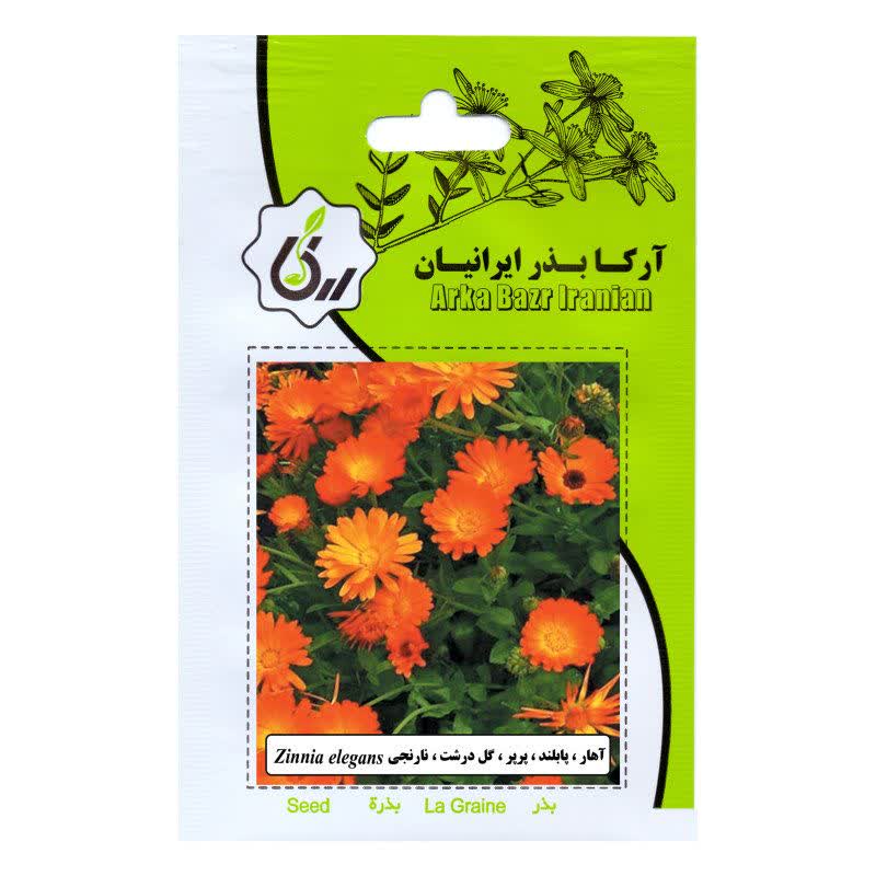 بذر  گل آهار پابلند گلدرشت، نارنجی