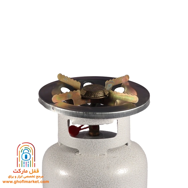 پیک نیک 5 کیلویی سفید همایون گاز