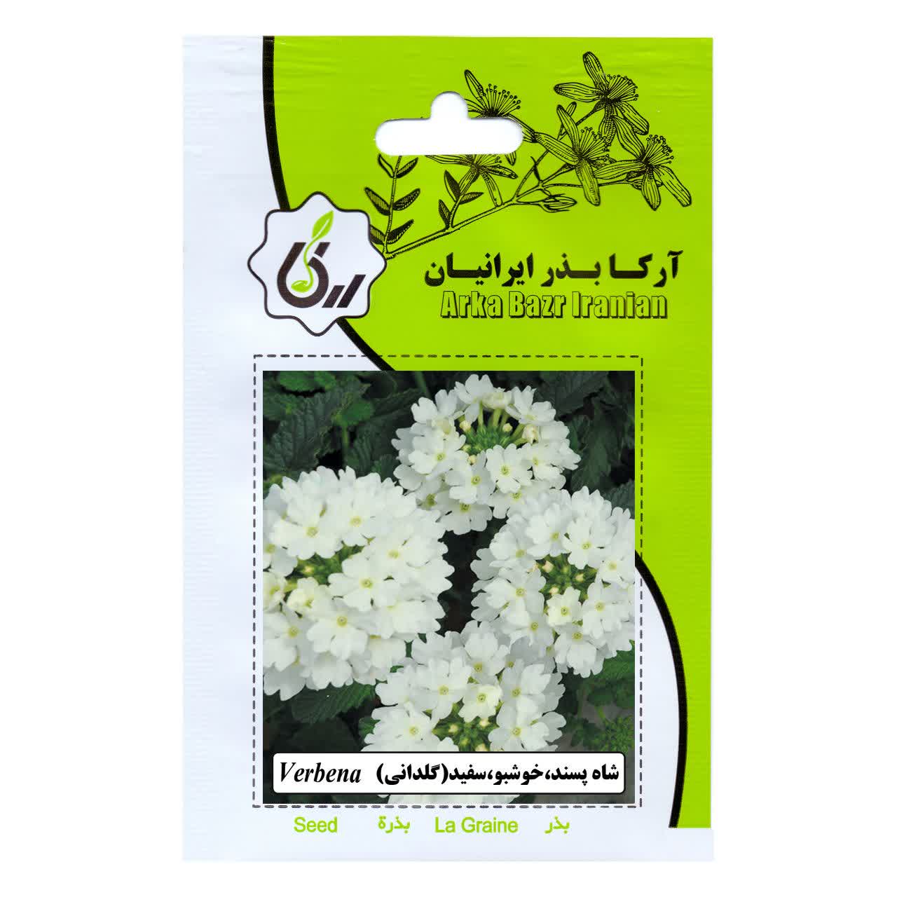 بذر گل شاه پسند ، خوشبو ، سفید (گلدانی)