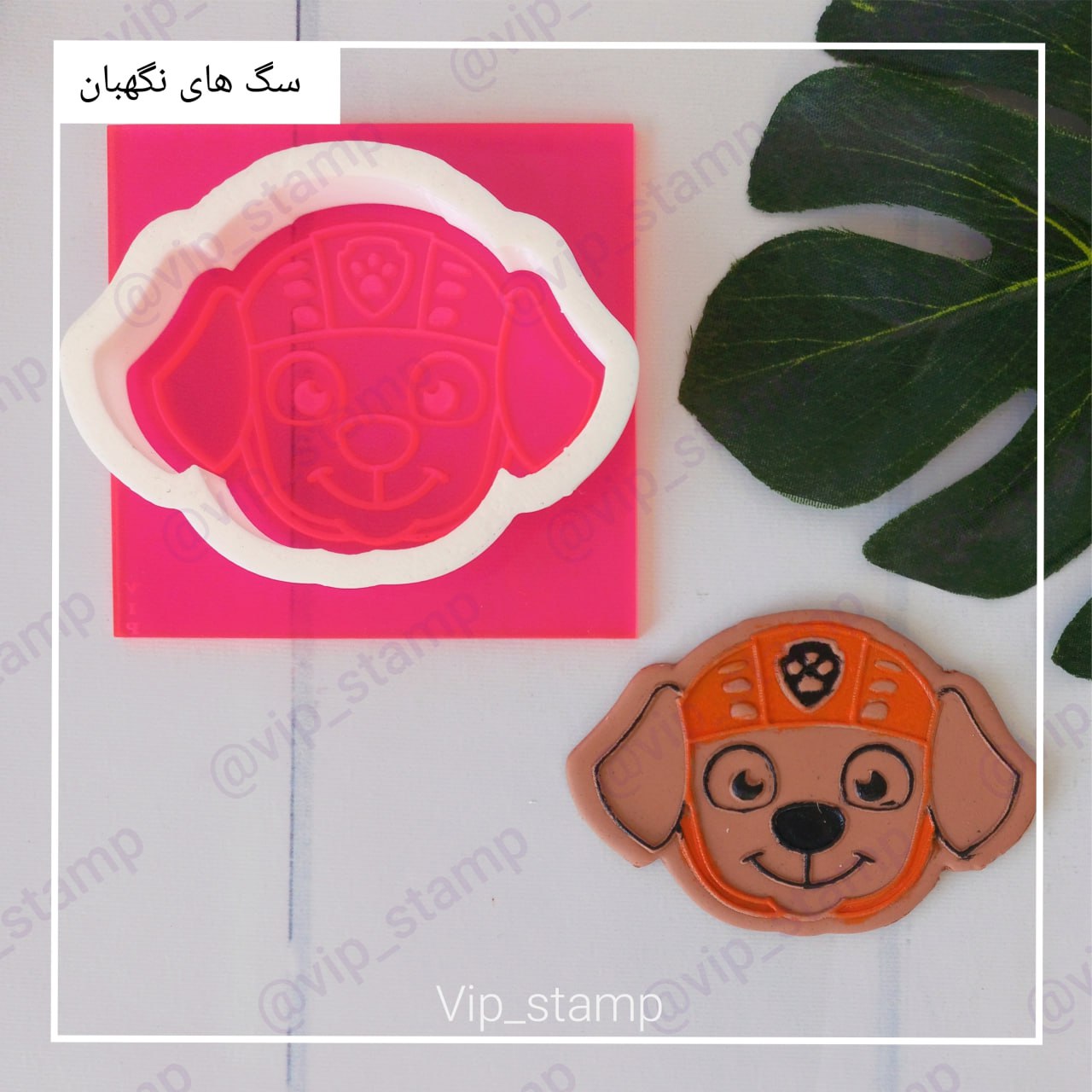استامپ و کاتر زوما1