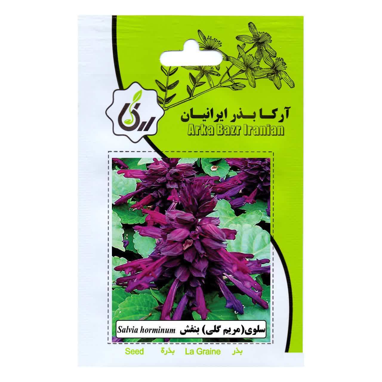 بذر سلوی (مریم گلی) بنفش