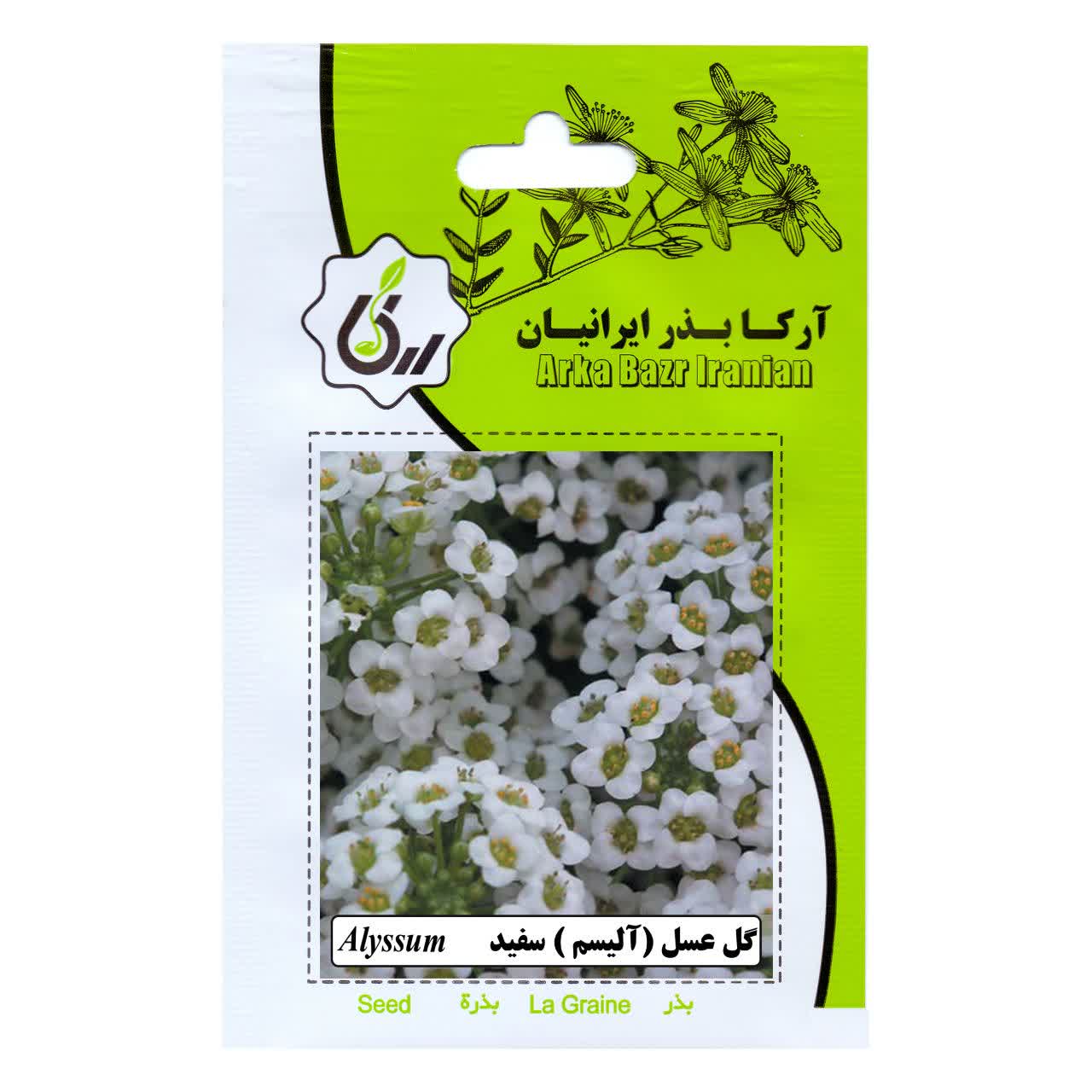 بذر گل عسل (آلیسم) سفید