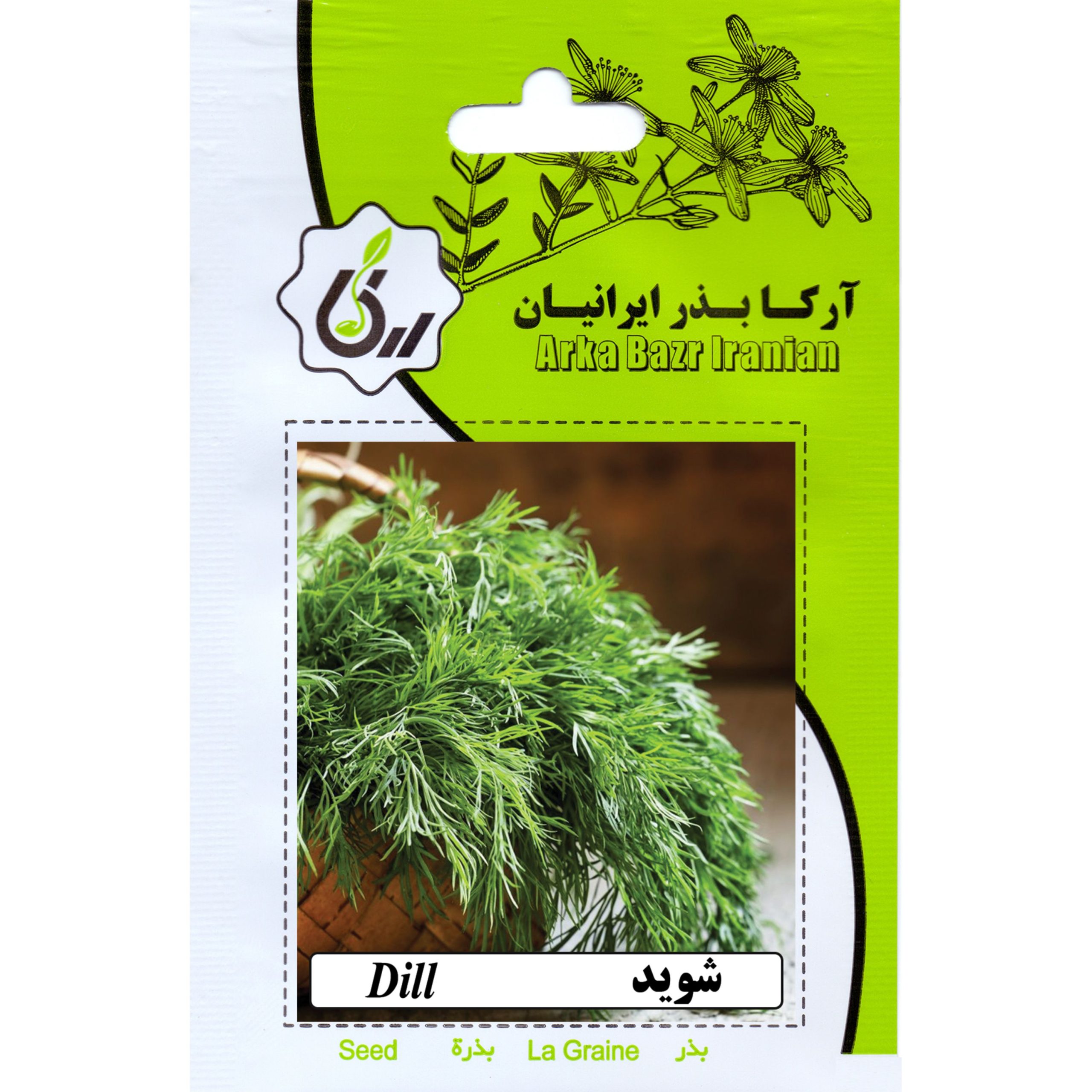بذر شوید