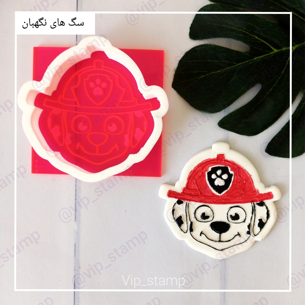 استامپ و کاتر مارشال1