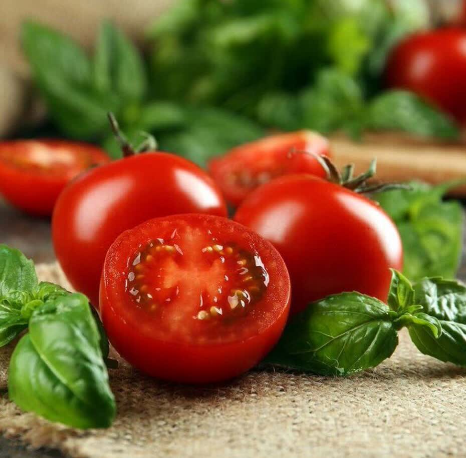 بذر گوجه بوته ای