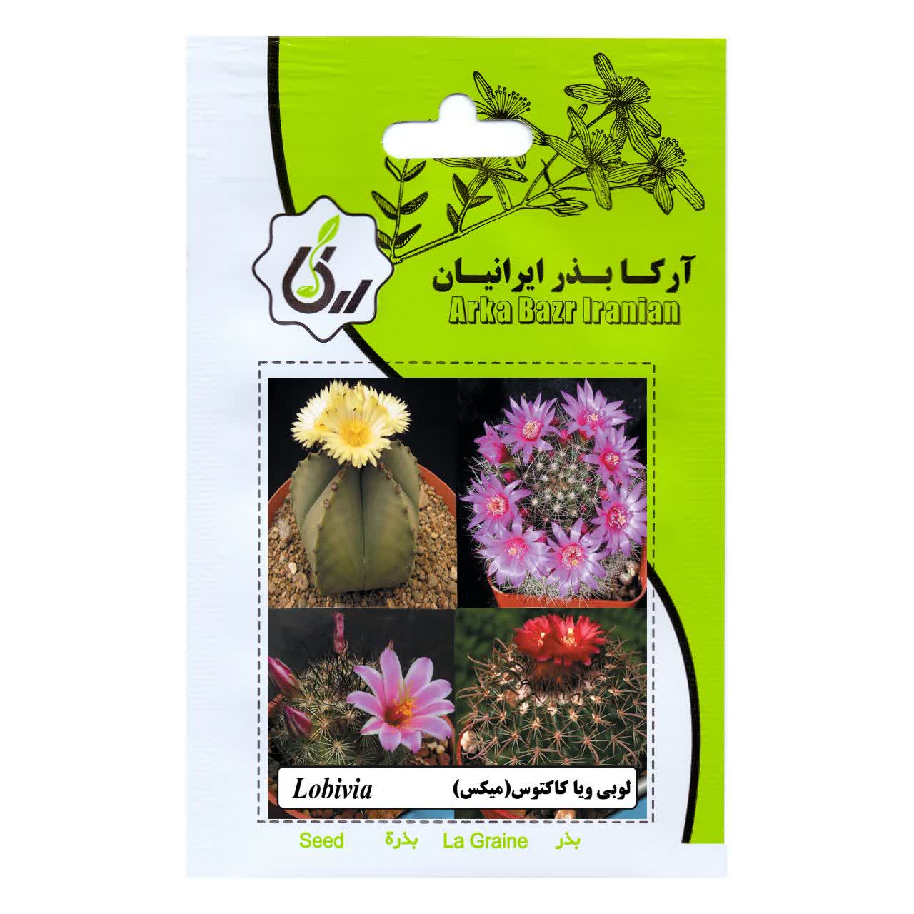 بذر لوبی ویا کاکتوس .