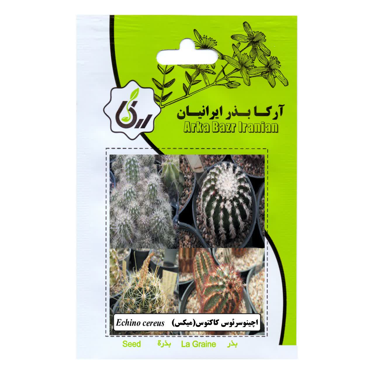 بذر گل اچینوسرئوس کاکتوس(میکس)