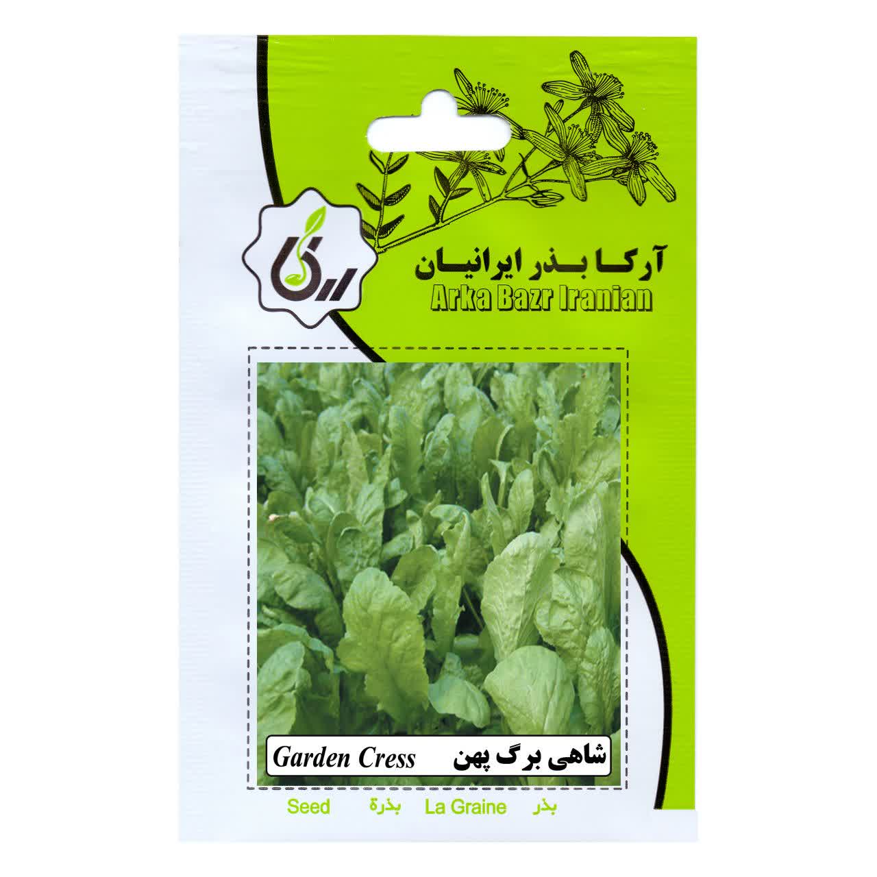 بذر شاهی برگ پهن
