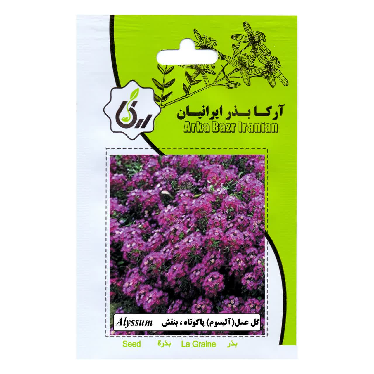 بذر گل عسل (الیسوم) پا کوتاه و بنفش