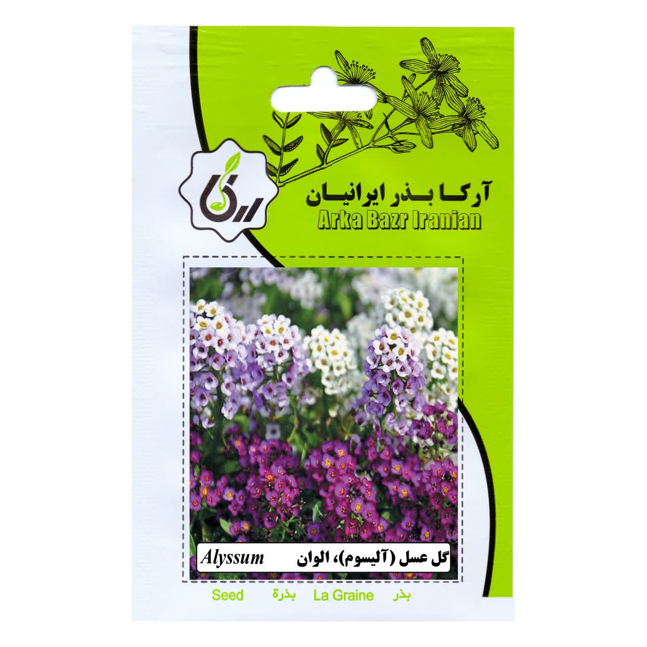 بذر گل عسل (الیسوم) الوان