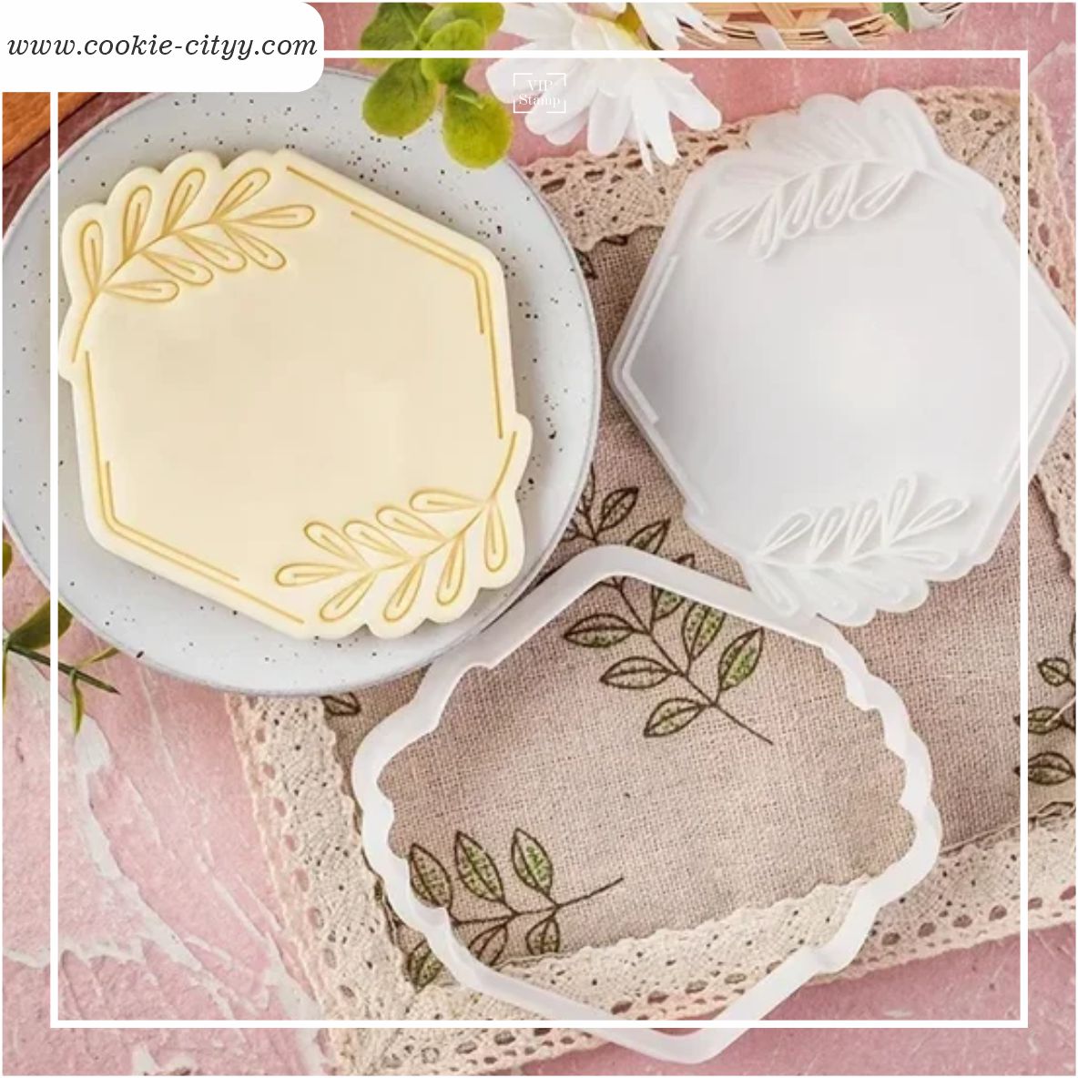 پانچ حاشیه مدل 5+کاتر