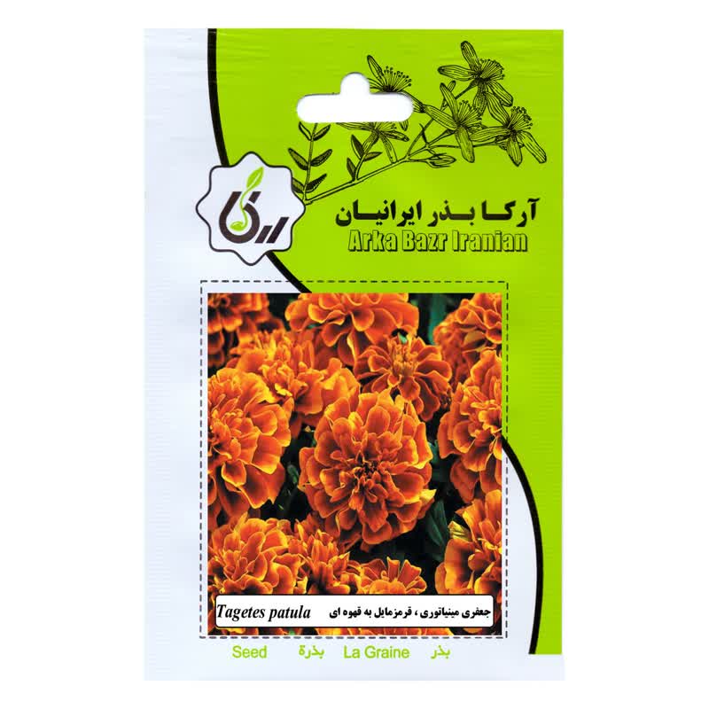 بذر گل جعفری مینیاتوری قرمز مایل به قهوه ای