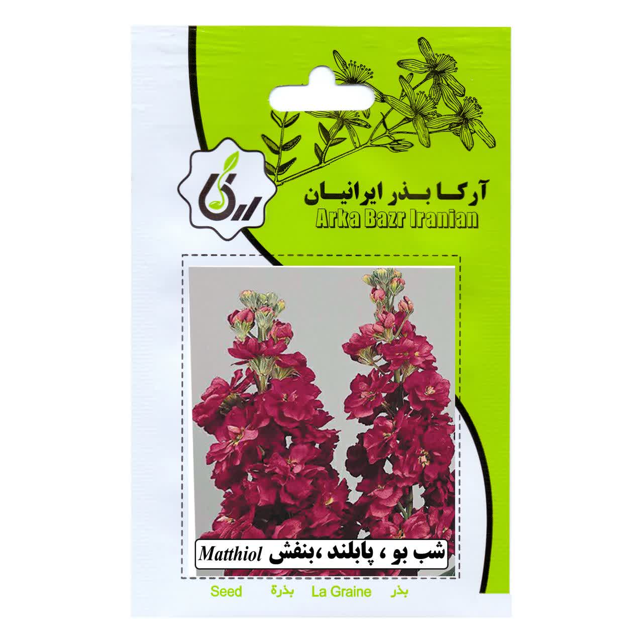 بذر گل شب بو ، پا بلند، بنفش