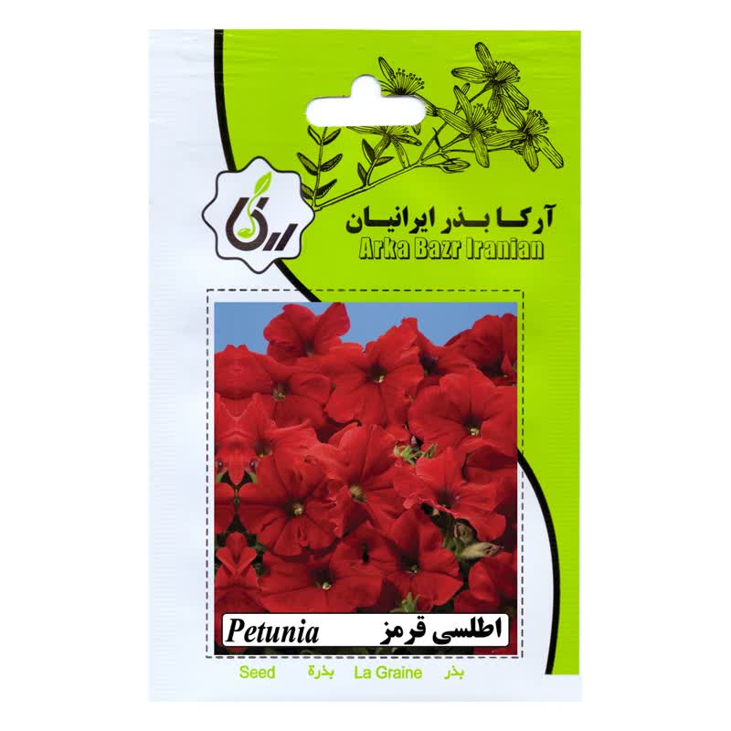 بذر گل اطلسی گل درشت قرمز