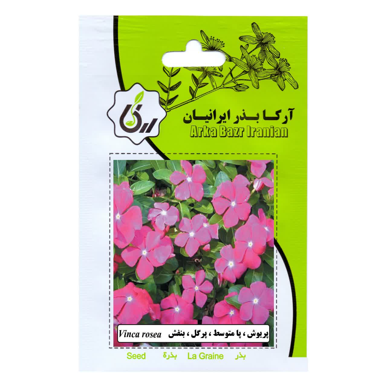 بذر پریوش , پامتوسط , پر گل , بنفش