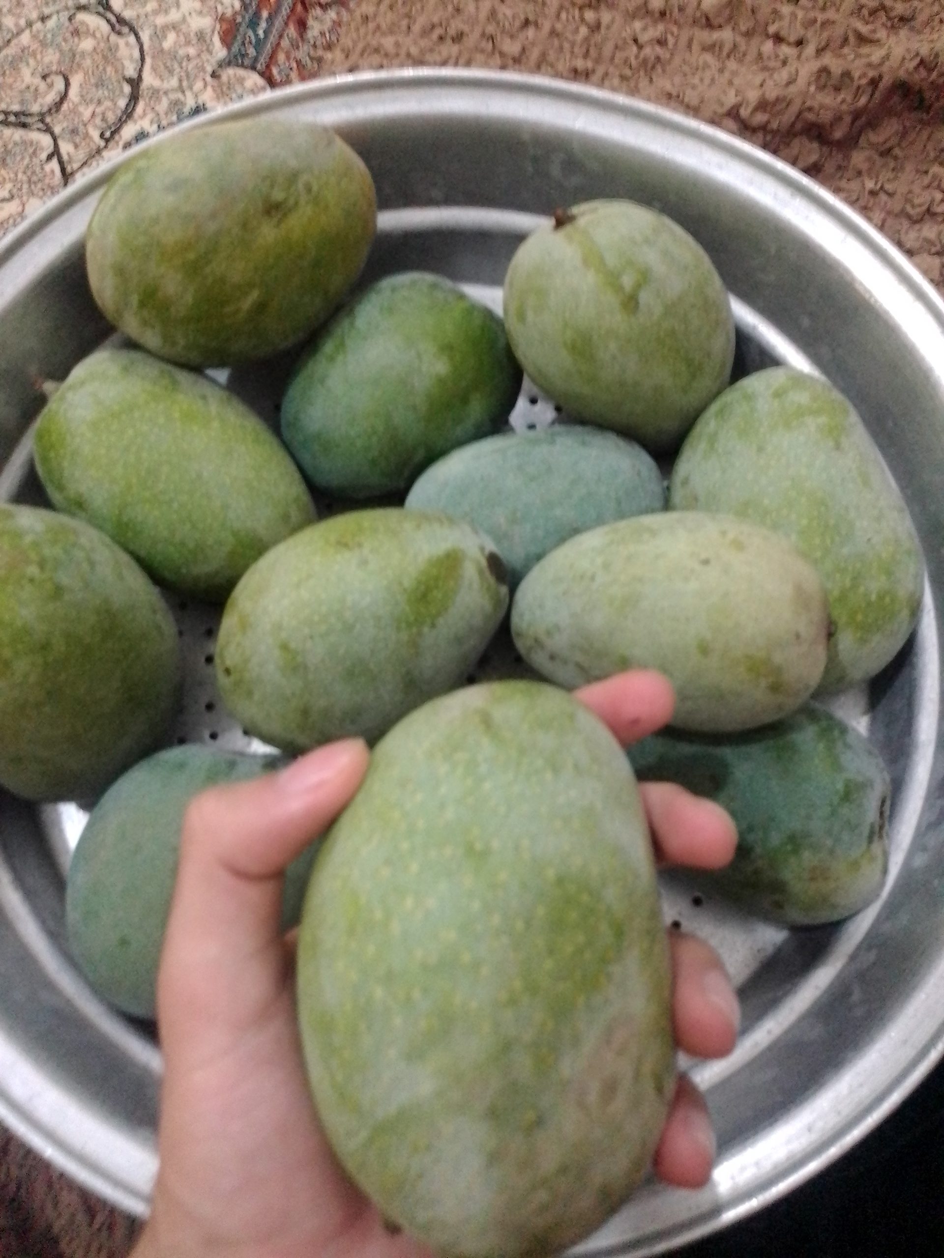 انبه نارس یا انبه سبز