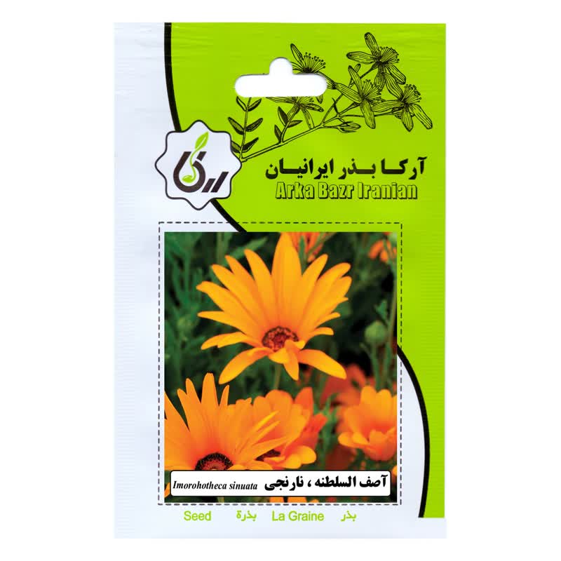 بذر گل آصف السلطنه ، نارنجی