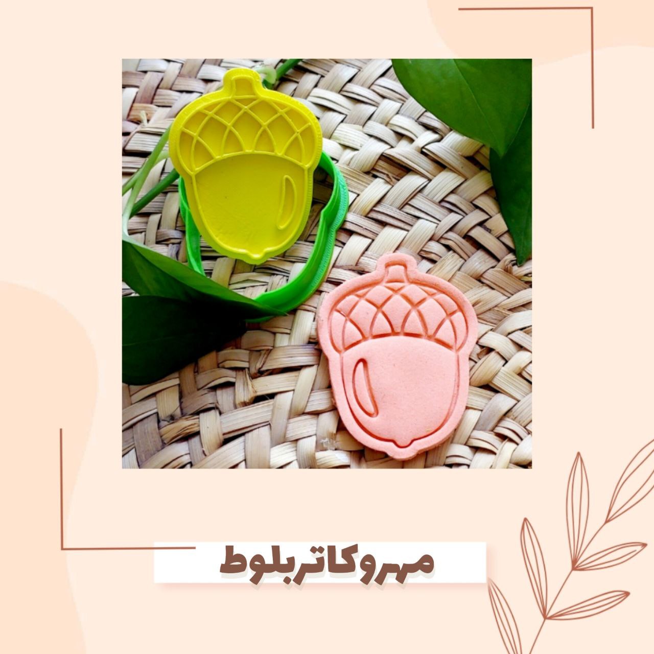 مهروکاتربلوط