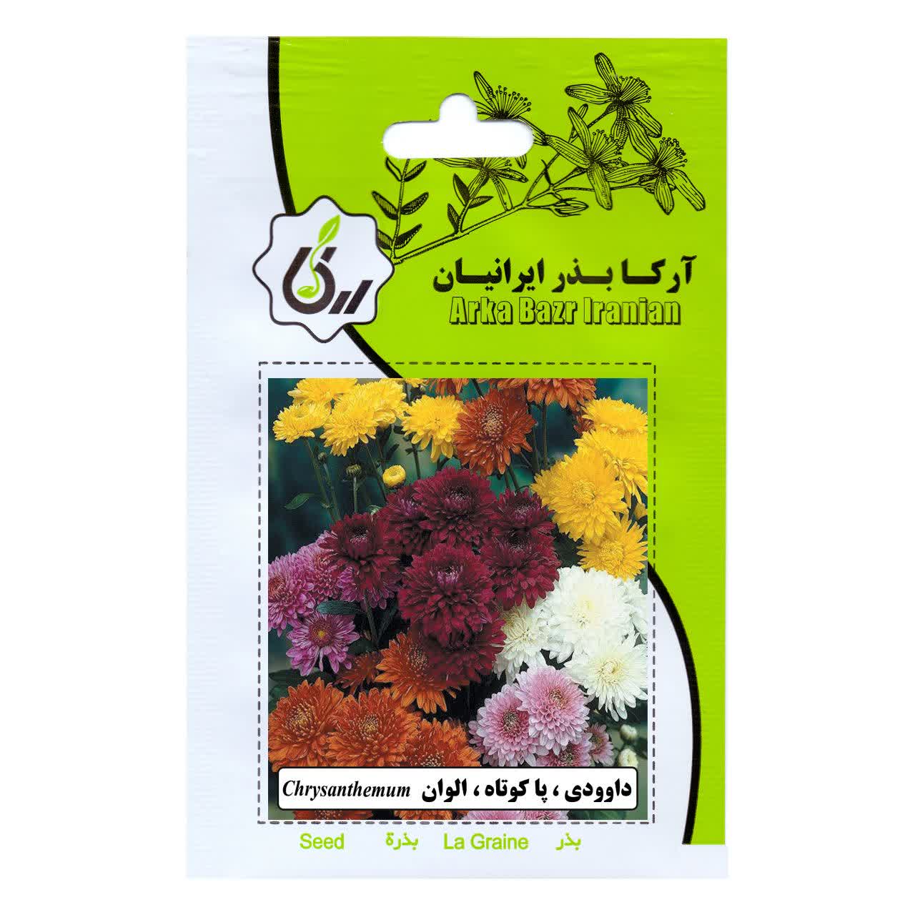بذر داوودی و پا کوتاه و الوان