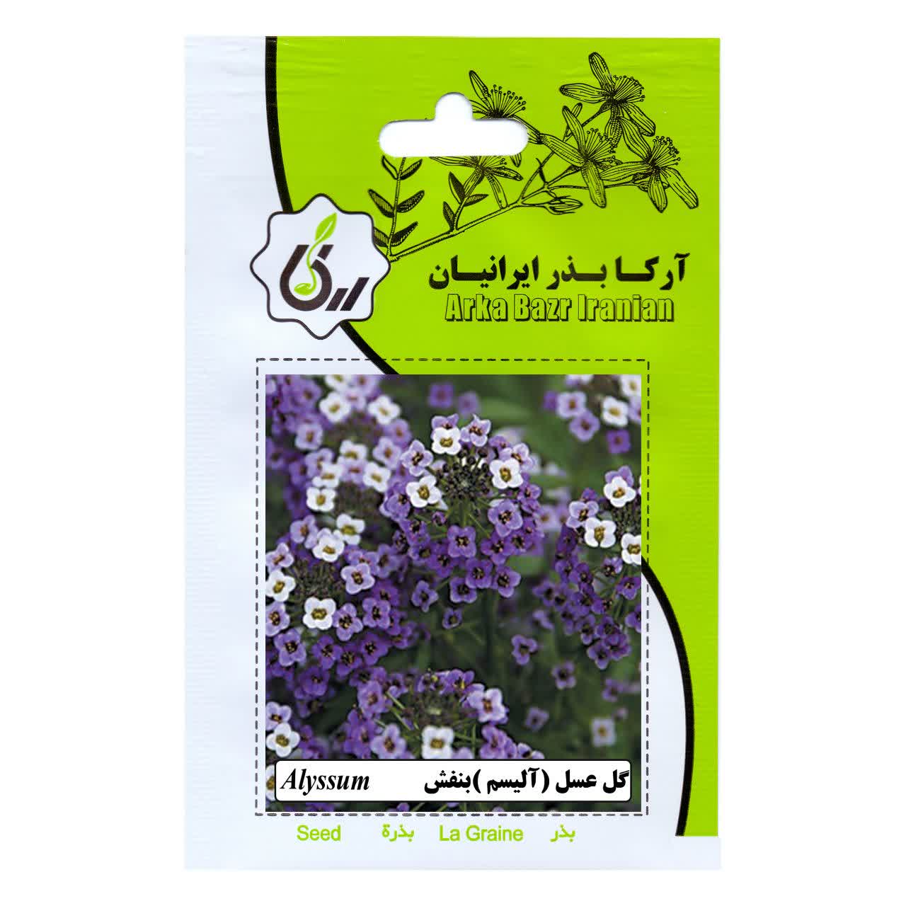 بذر گل عسل (الیسوم) بنفش