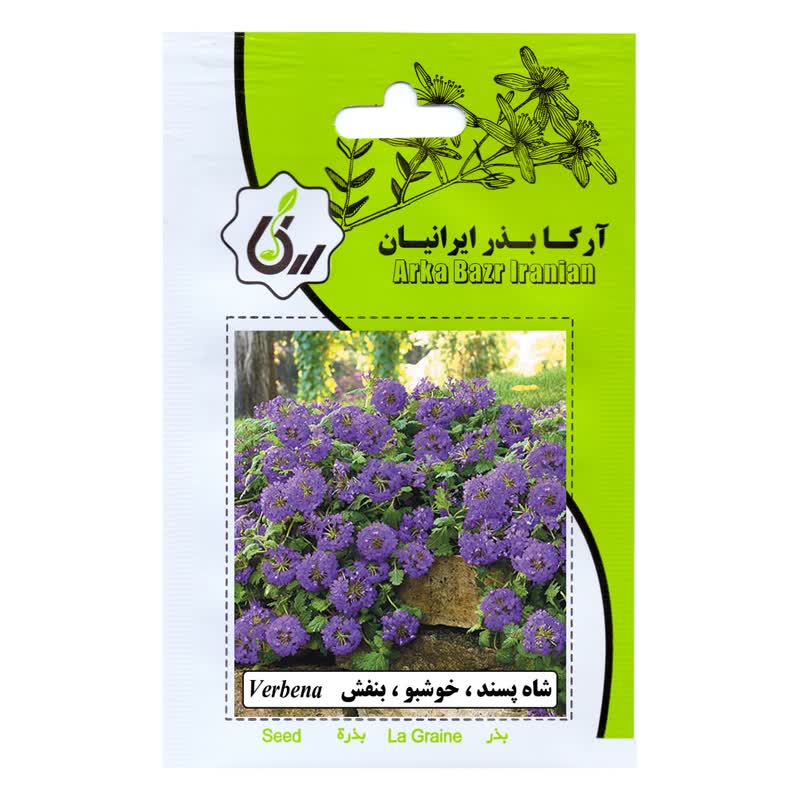 بذر گل شاهپسند خشبو بنفش