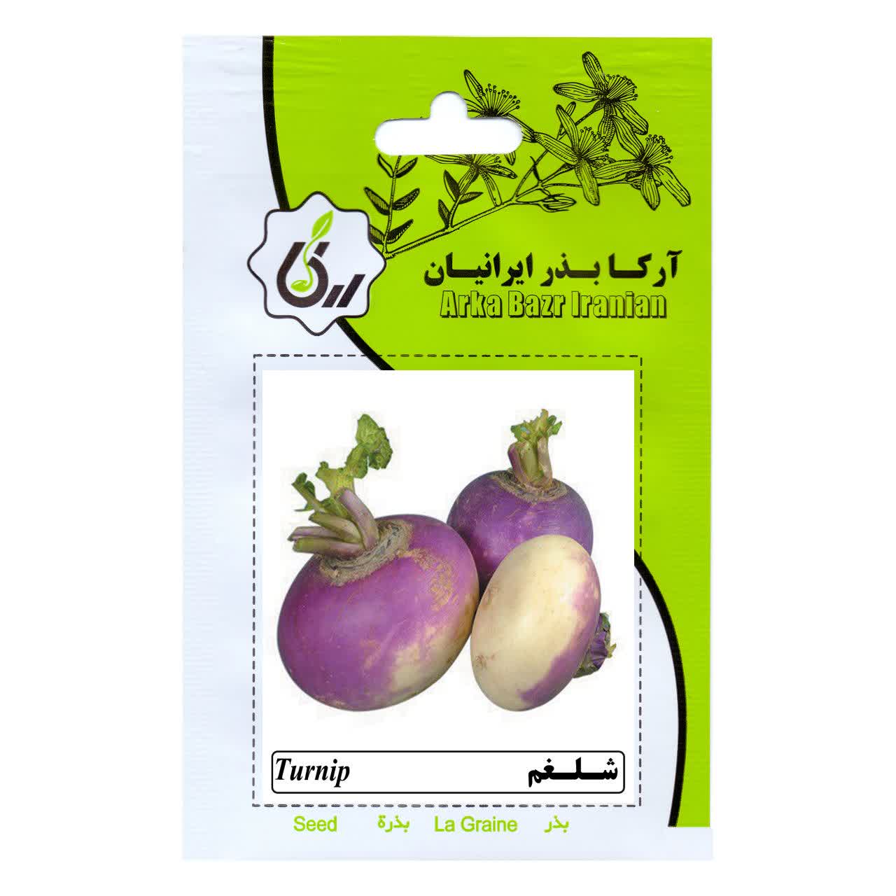 بذر شلغم