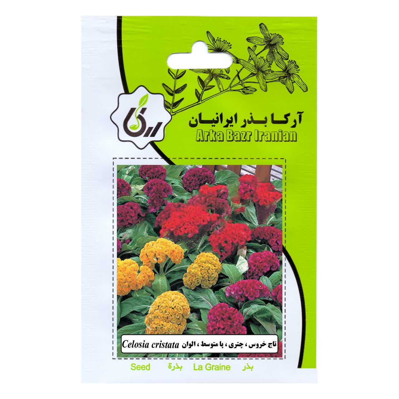 بذر تاج خروس و چتری و پا متوسط و الوان