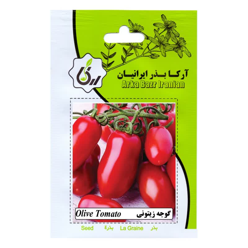 بذر گوجه فرنگی زیتونی