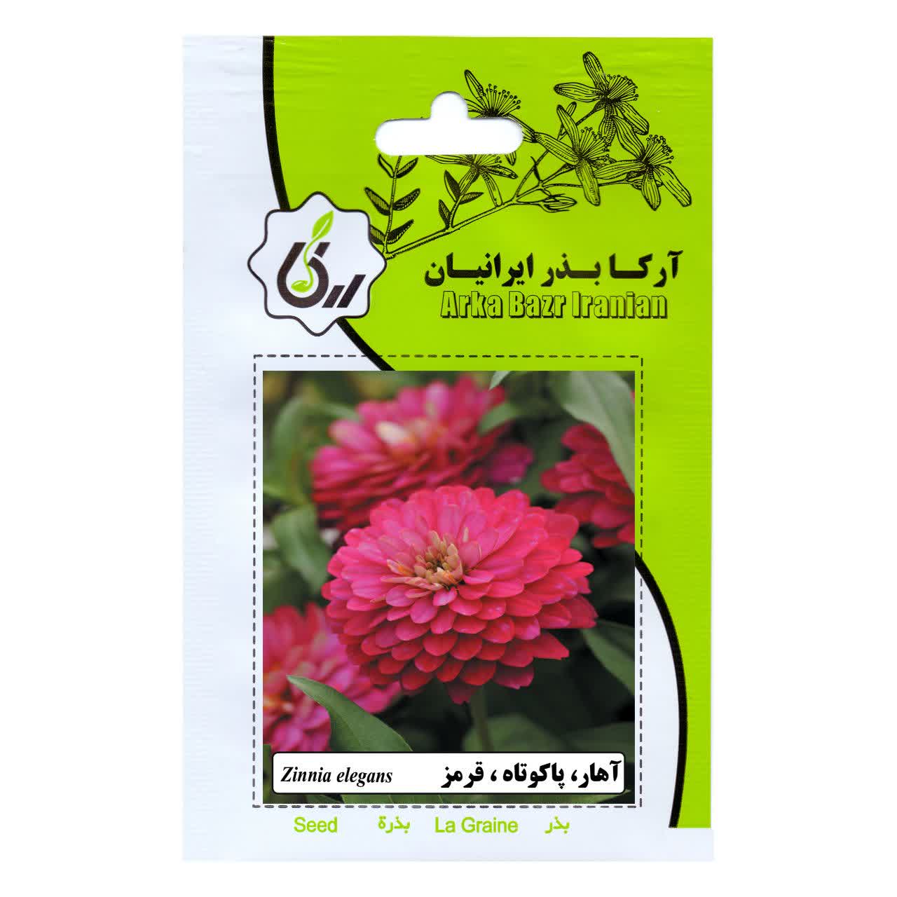 بذر اهار و پا کوتاه و قرمز