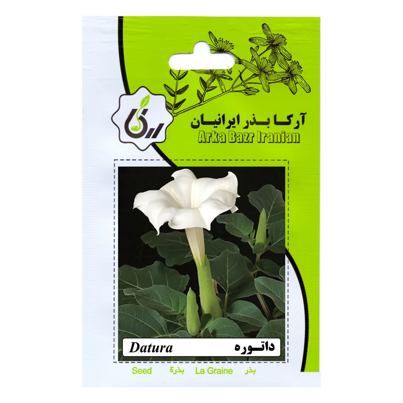 بذر گل داتوره