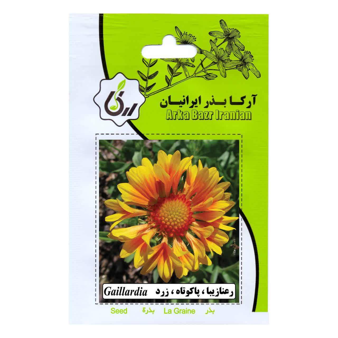 بذر رعنا زیبا , پا کوتاه , زرد