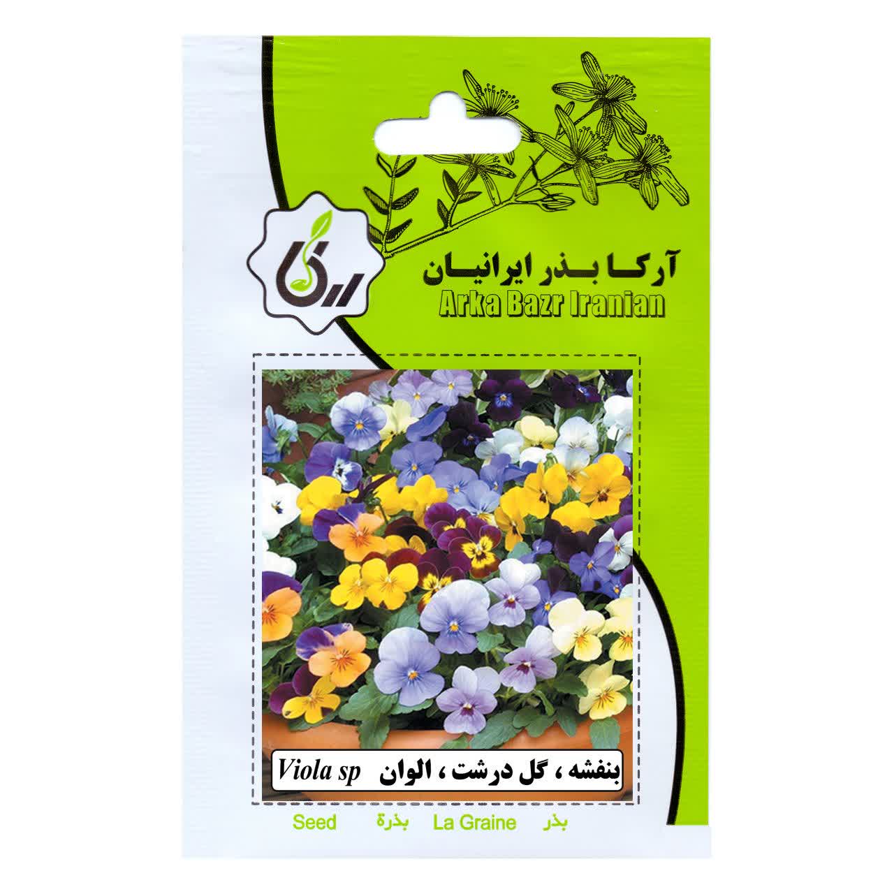 بذر بنفشه و گل درشت و الوان
