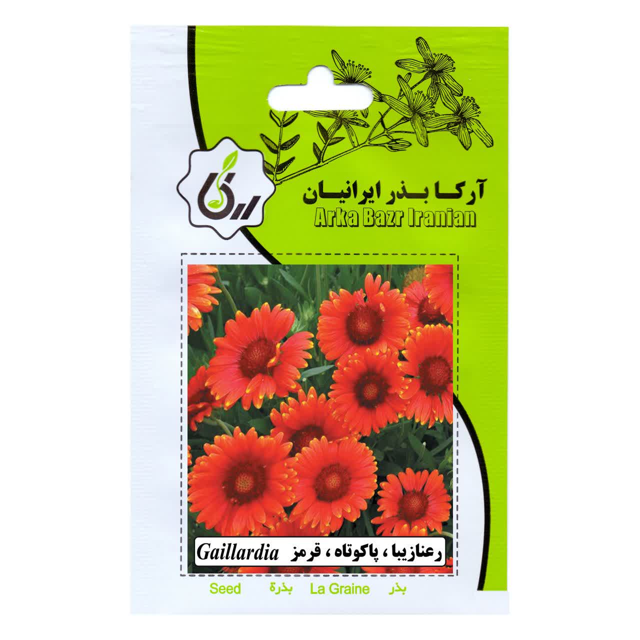 بذر گل رعنا زیبا پا کوتاه قرمز