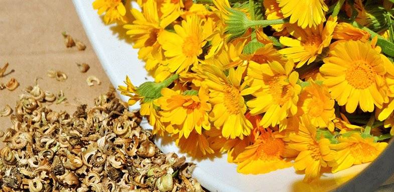 صابون دست ساز گل همیشه بهار
