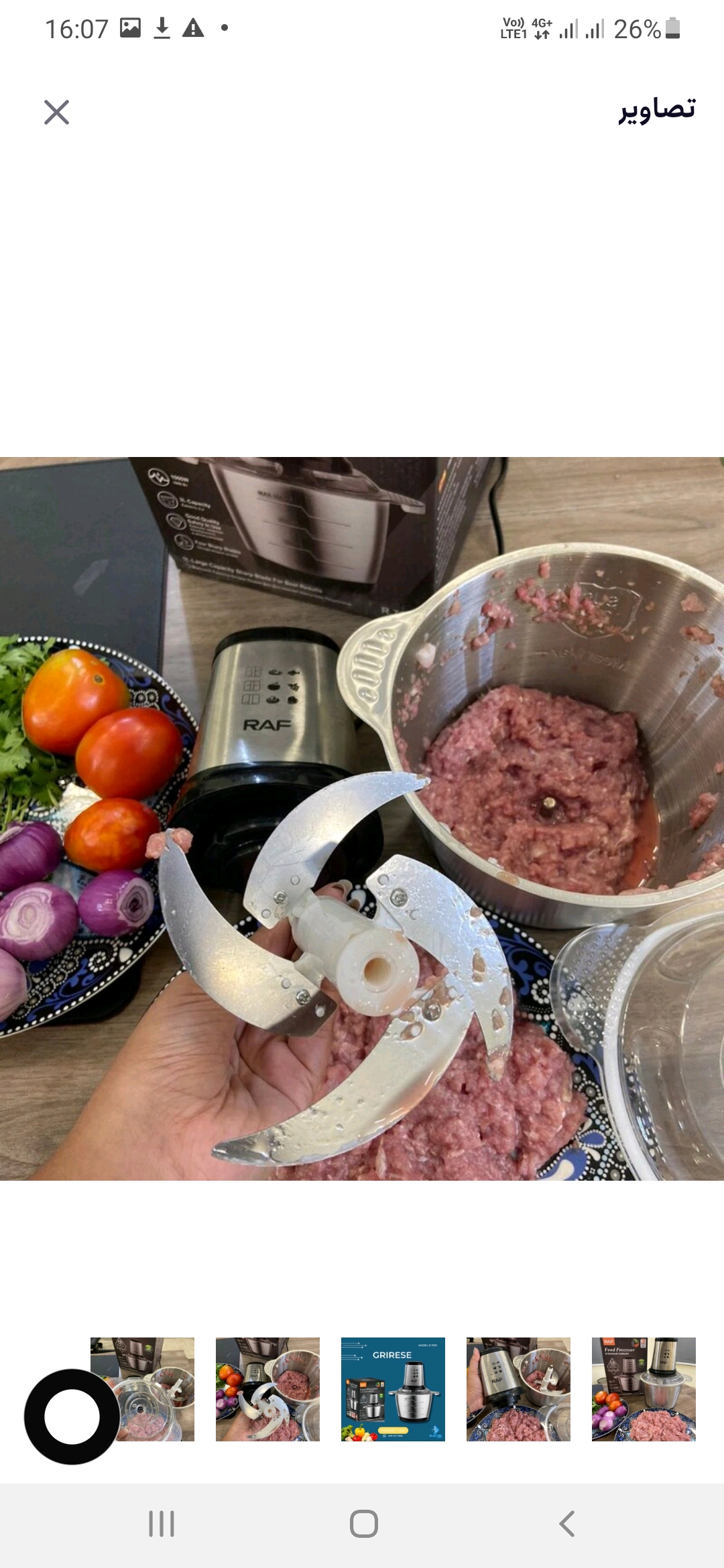 خردکن ۳ لیتری راف مدل 7031