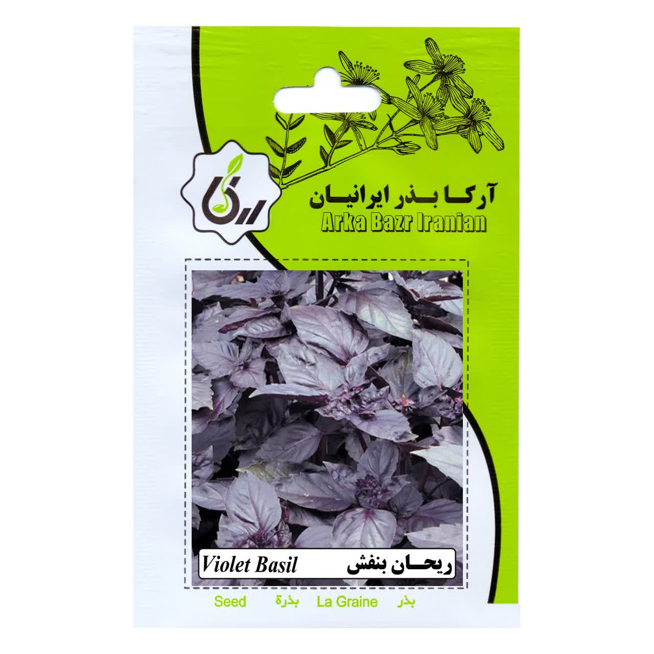بذر ریحان بنفش