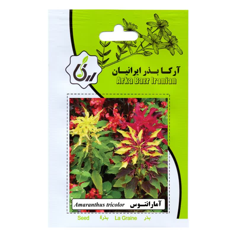 بذر گل آمارانتوس