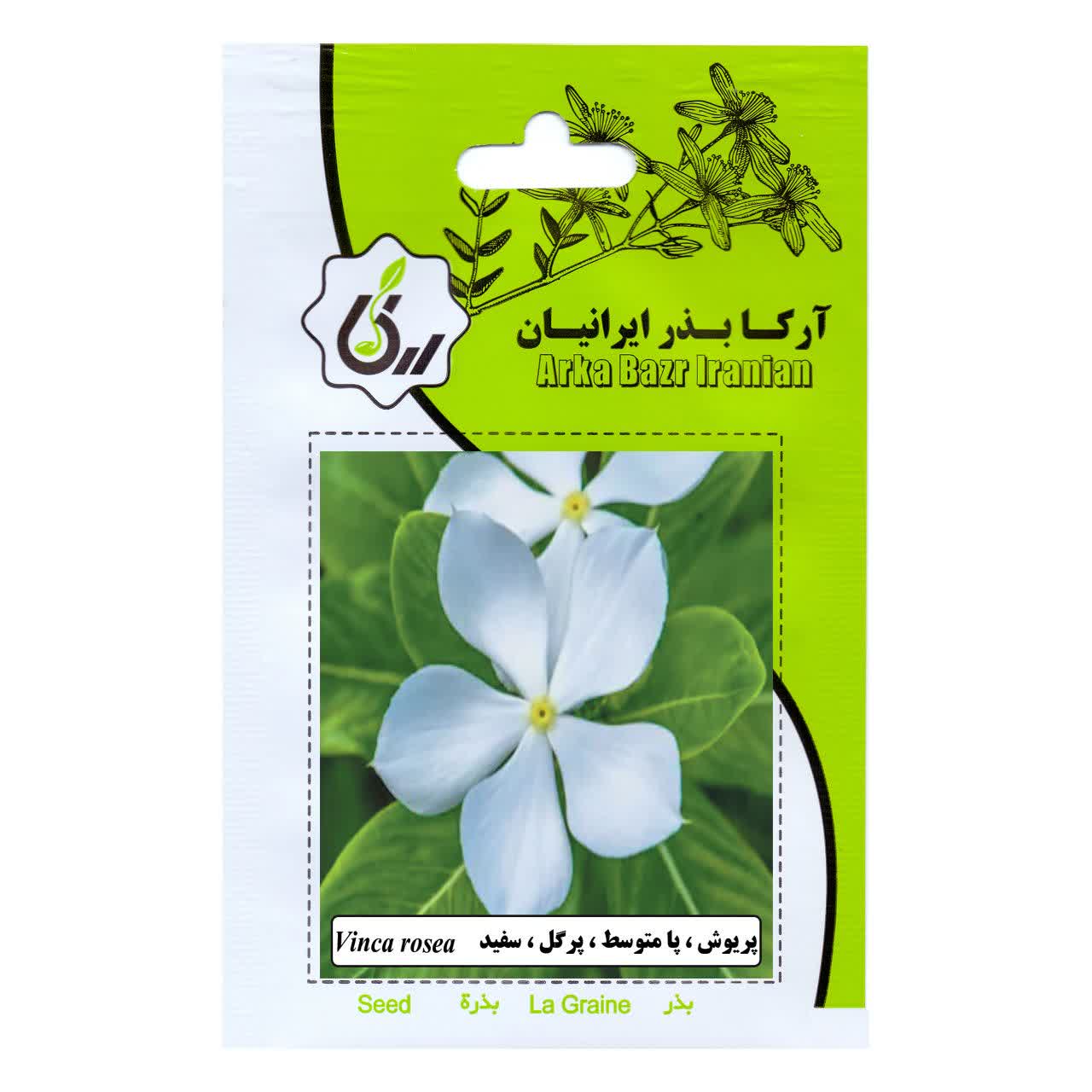 بذر پریوش , پامتوسط , پر گل , سفید