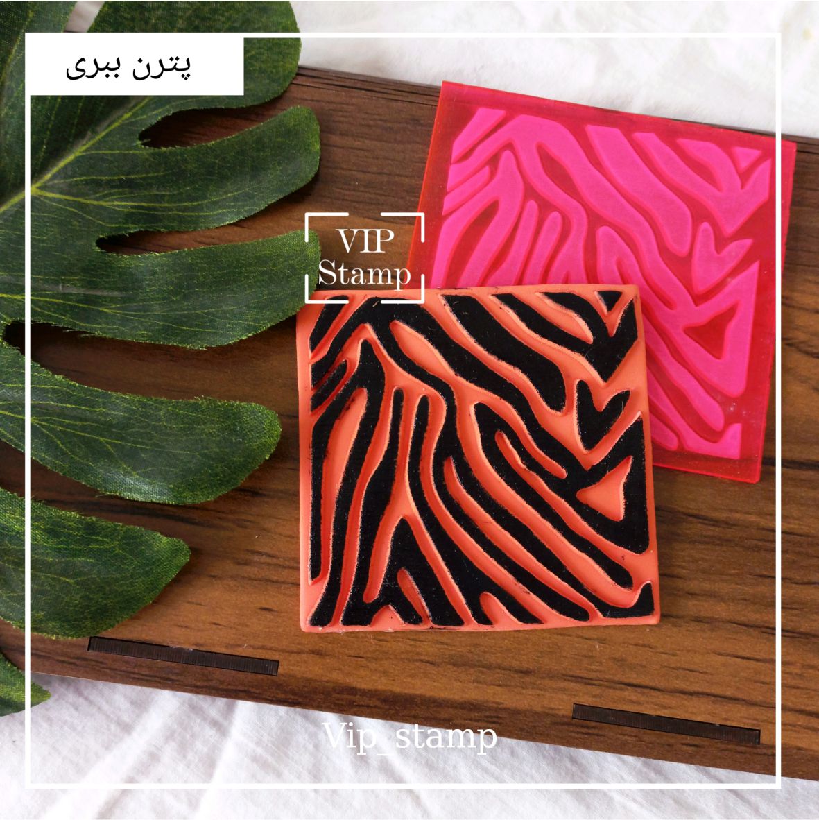 پترن ببری